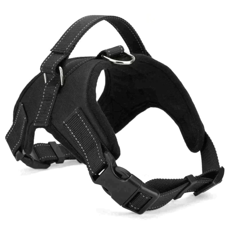 Adjustable Dog Harness Petritzy 